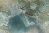 Cubic, Blue-Green Fluorite Crystal Cluster with Phantoms - China #217446-3